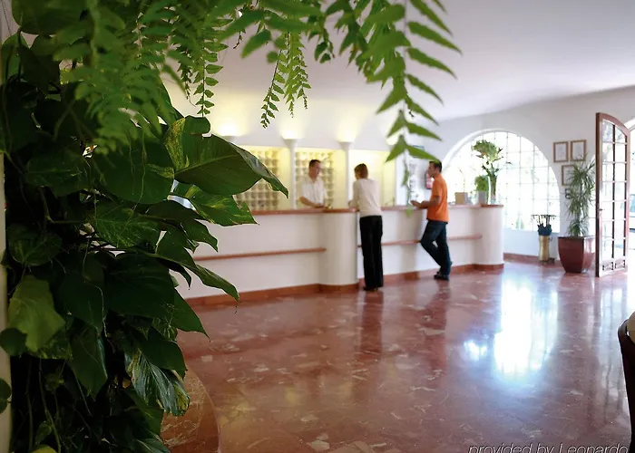 Oceano Health Punta del Hidalgo